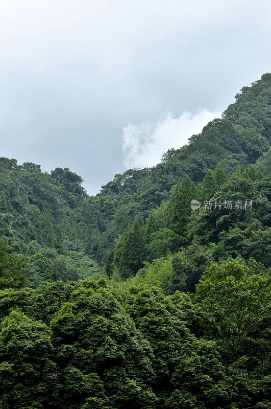 山鸟瞰图