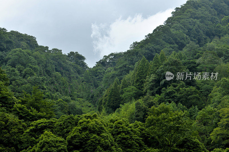 山鸟瞰图