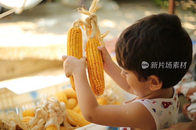 小男孩在啃新鲜的玉米棒子