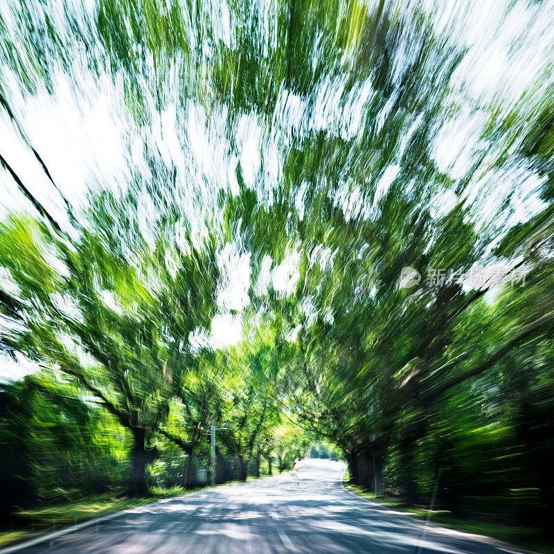 森林道路行驶，模糊运动