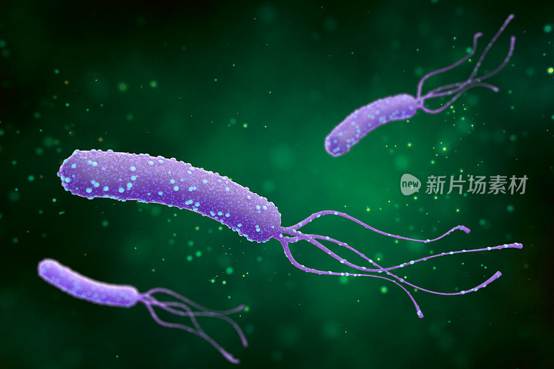 在抽象的绿色背景上描绘幽门螺杆菌。医学概念。