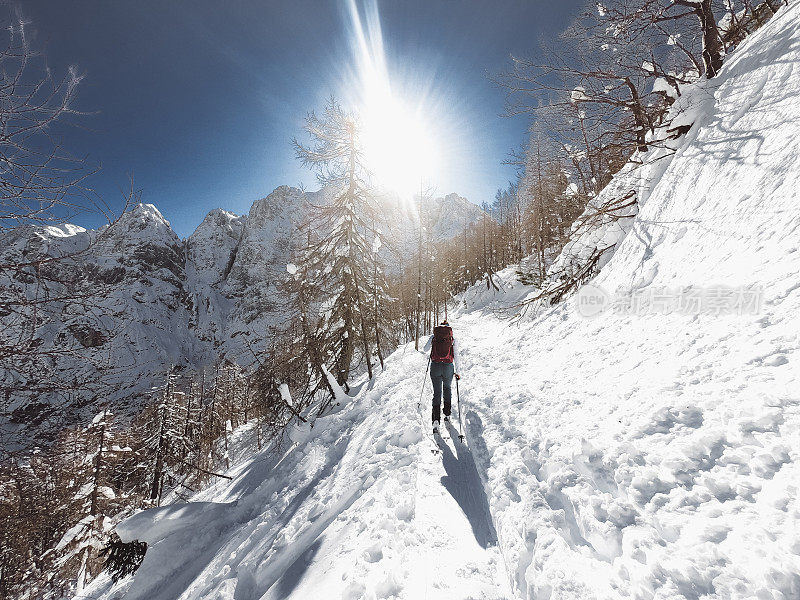 女人滑雪旅游在一个阳光明媚的日子从后面看