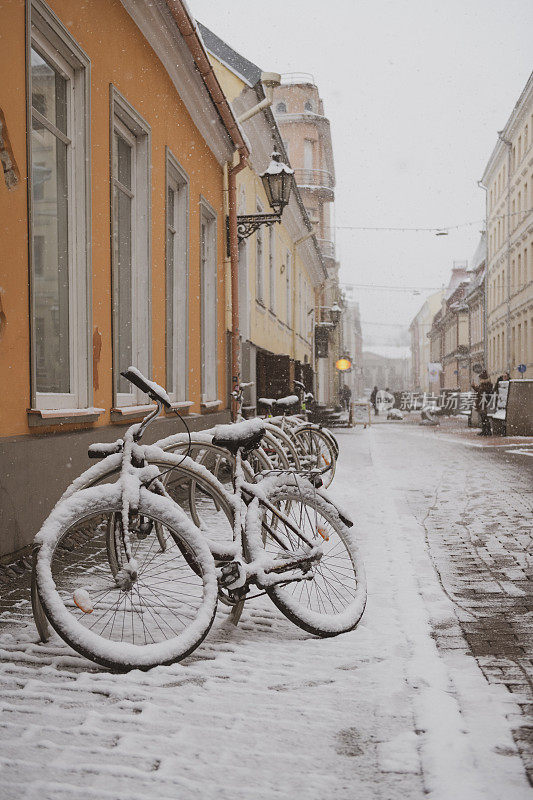 爱沙尼亚的塔尔图刚刚下过雪