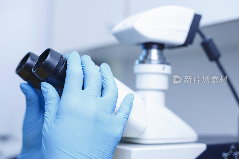 显微镜实验室中的医学研究。在实验室使用现代设备处理医学样本的科学家。实验室医疗设备用于分析的医疗设备。血液检测冠状病毒(COVID-19)。