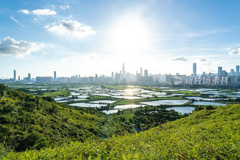 香港边境的乡村绿地景色