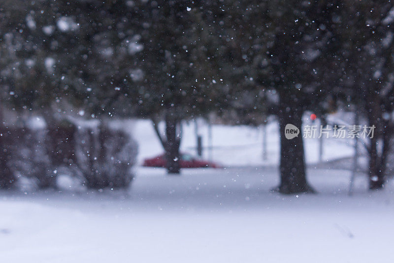 近距离雪花飘落与模糊的背景