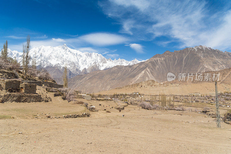 自然风景沿着喀喇昆仑山在罕萨山谷与樱花盛开的秋天巴基斯坦