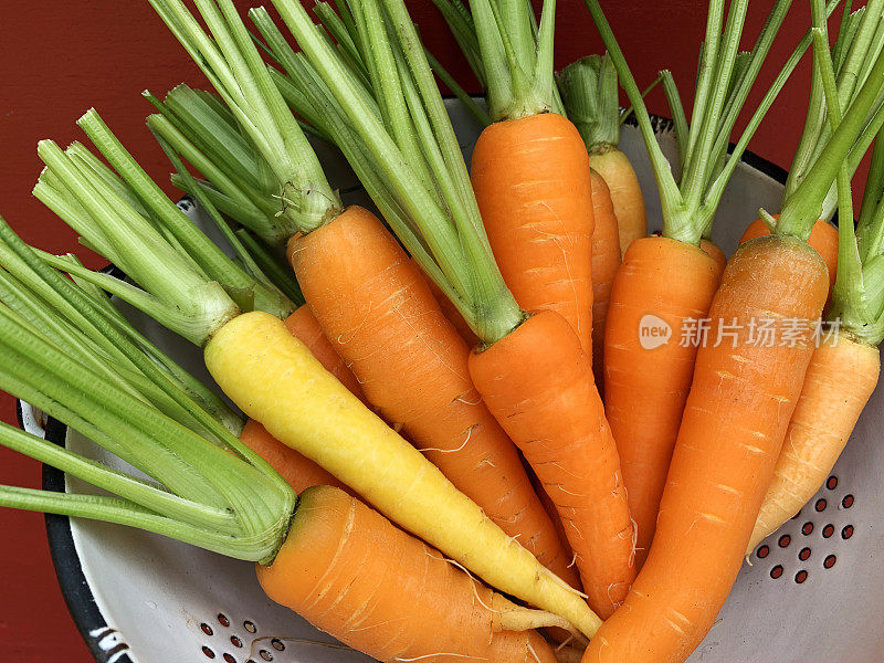 古色古香的滤锅里装满了自家种植的新鲜的彩虹胡萝卜