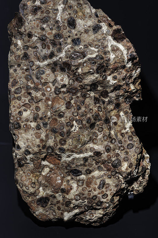 铝土矿是一种可以提炼出大部分铝的矿石。这种岩石主要由三水铝石、薄水铝石和一水硬铝石组成，与针铁矿和赤铁矿两种铁氧化物、粘土矿物高岭石和小阿莫矿石混合而成