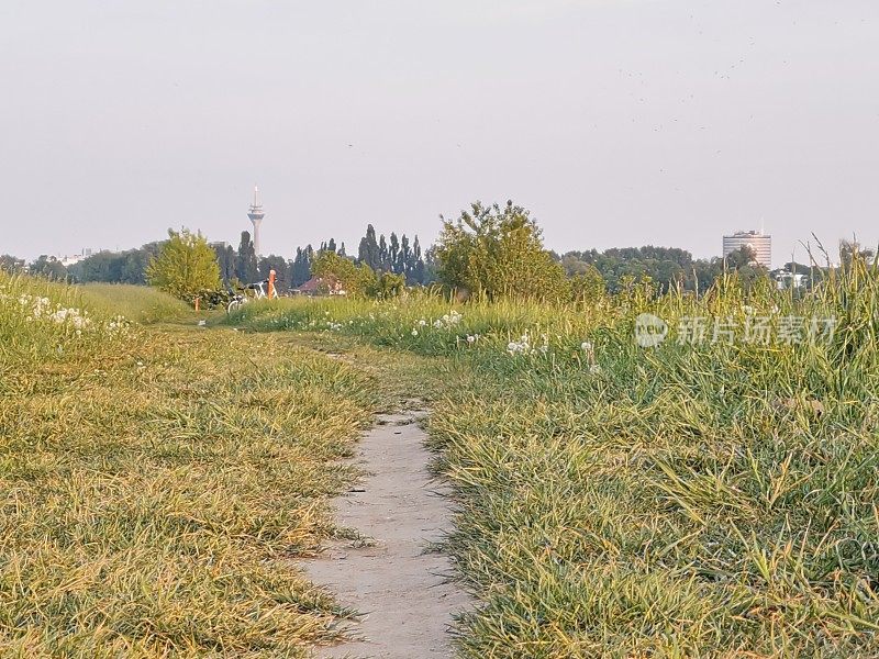 在Düsseldorf西北沿莱茵河带的草地区域的水平图像