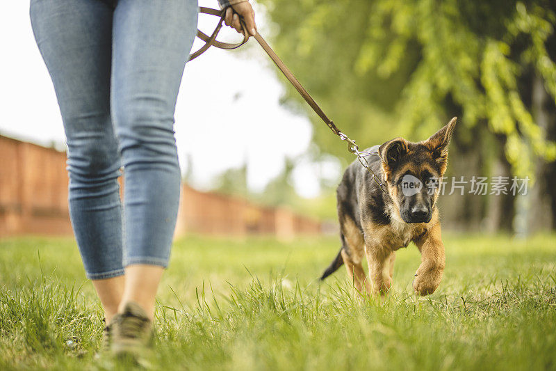 一个年轻女子和她的德国牧羊犬在公园散步