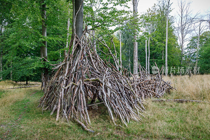 孩子们用树枝搭建的小屋或棚屋