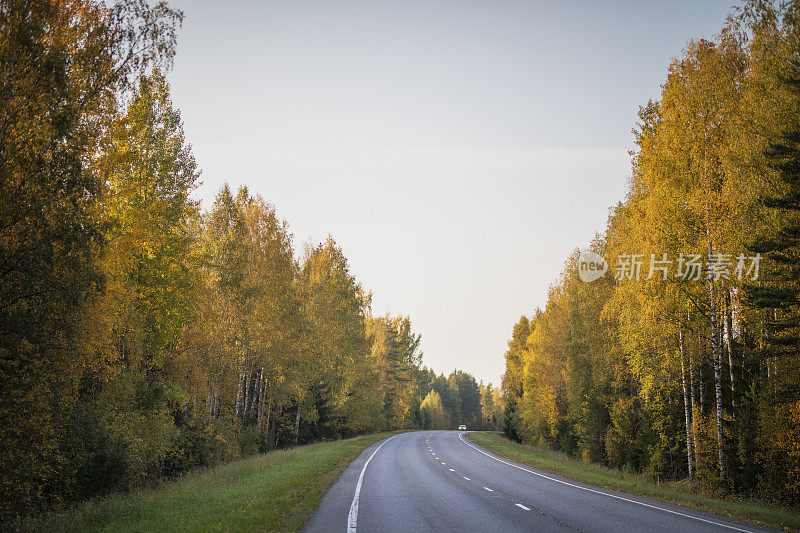 芬兰的秋天之路
