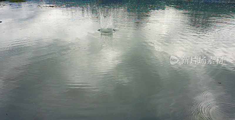 阿拉斯加的风景