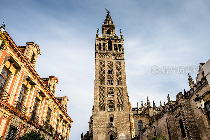 塞维利亚大教堂的钟楼。Giralda。