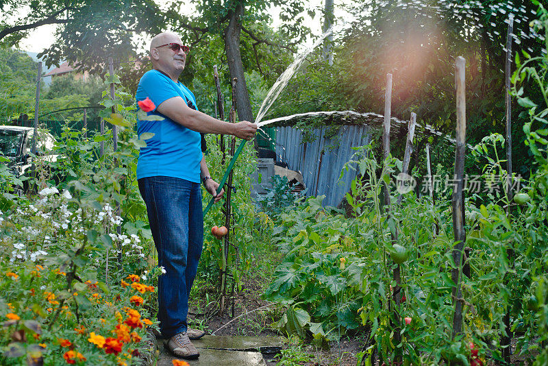 一个男人给他的花园浇水