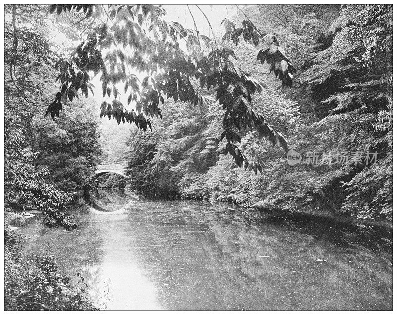 古董照片:维萨希肯，费尔蒙特公园，费城