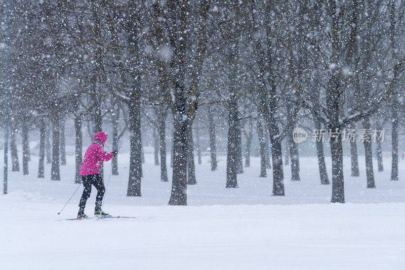 拉脱维亚里加公园里的滑雪者