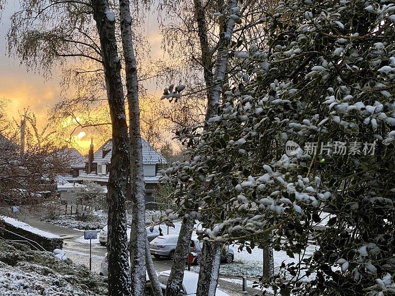 春天的晨雪日出