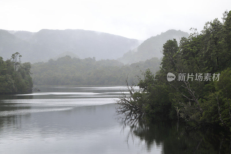 澳大利亚塔斯马尼亚州戈登河热带雨林荒野