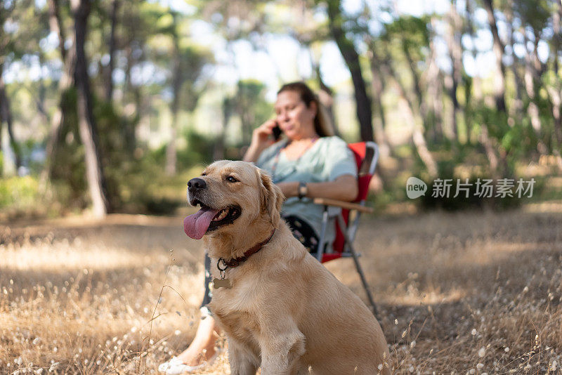 一个女人和她的狗在森林里露营，还在打电话