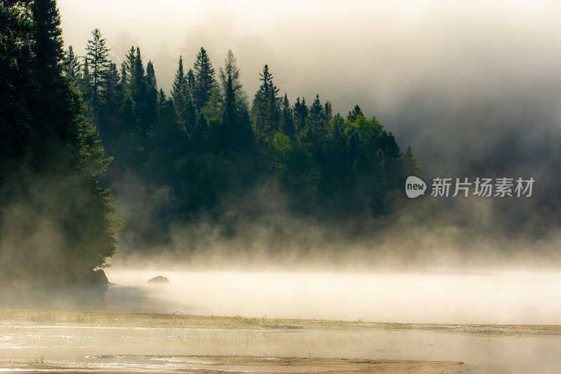 清晨加拿大魁北克省一个大湖上的薄雾