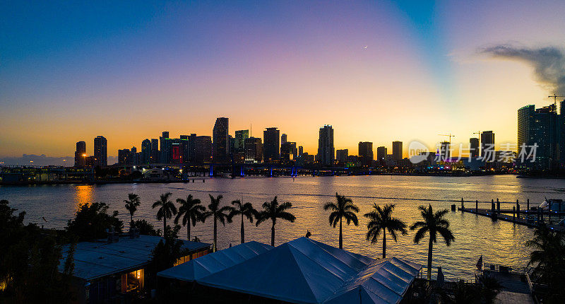 迈阿密地平线日落海湾和棕榈树剪影