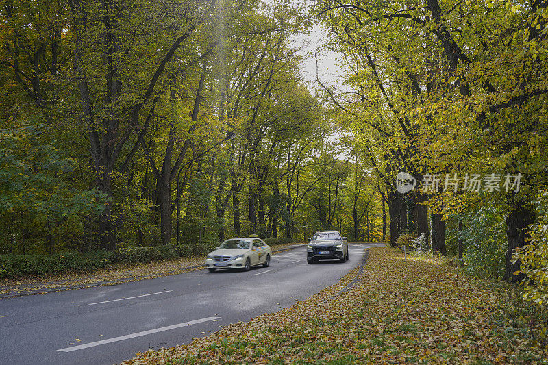 秋天的街道上有树木，五颜六色的树叶，模糊的汽车和阳光