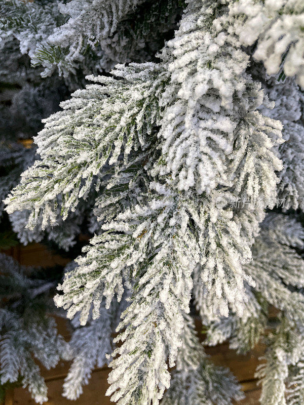 全帧特写图像的人造云杉圣诞树与塑料绿色针覆盖人工喷雾雪，白色LED精灵灯