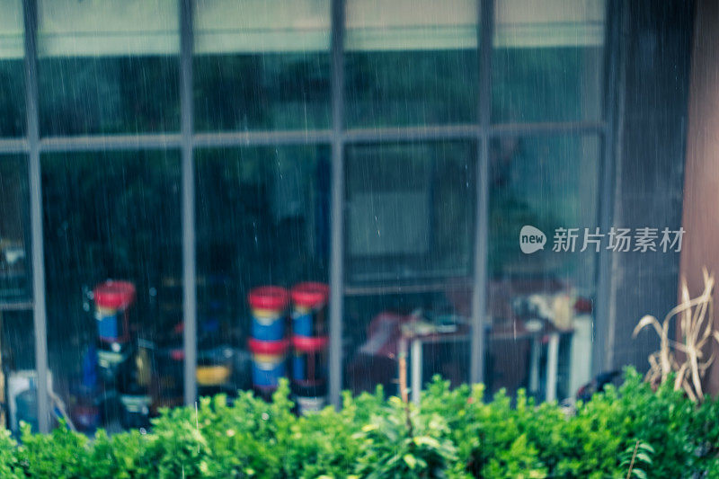 在这个城市的雨季，雨水落到了地上