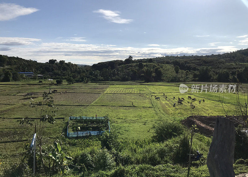 泰国北部乡村的自然风光。