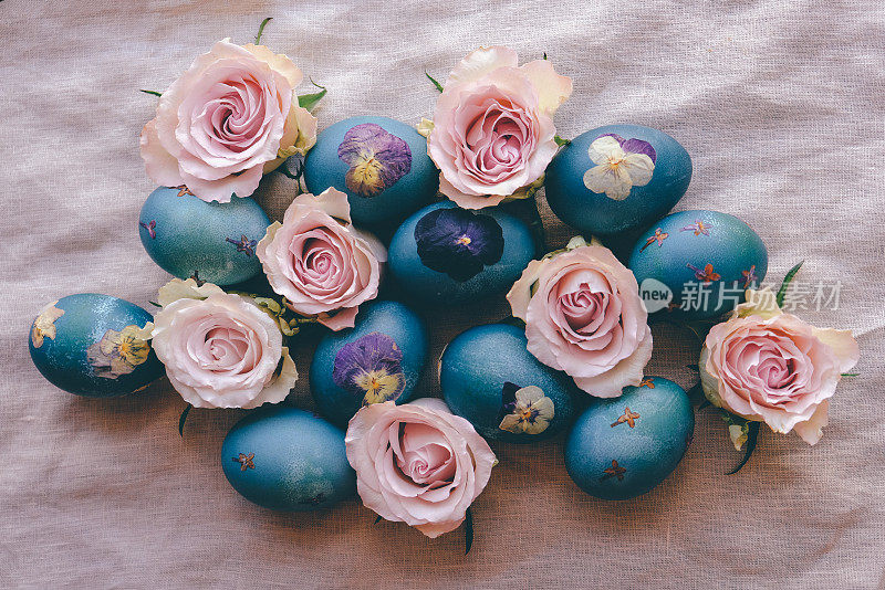 自然染色的青蓝压花复活节蛋在中性米色桌布背景玫瑰花盛开，俯视图。手工工艺，天然装饰。