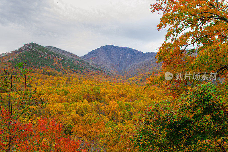 五颜六色的秋天树木和田纳西州的山景在2022年的秋天