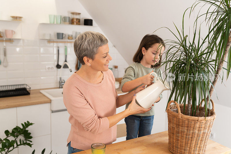 快乐的女人带着一个小女儿在家里种植室内植物