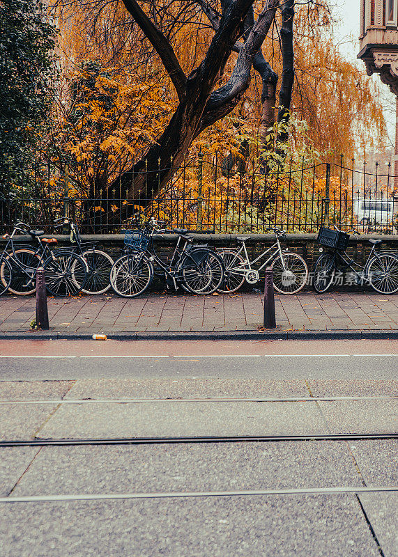 秋天的早晨，停放在阿姆斯特丹人行道上的自行车