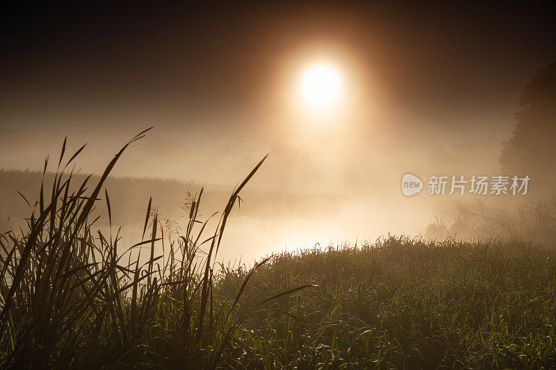 早晨，太阳透过河上的雾