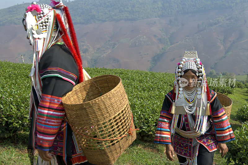 阿卡茶器