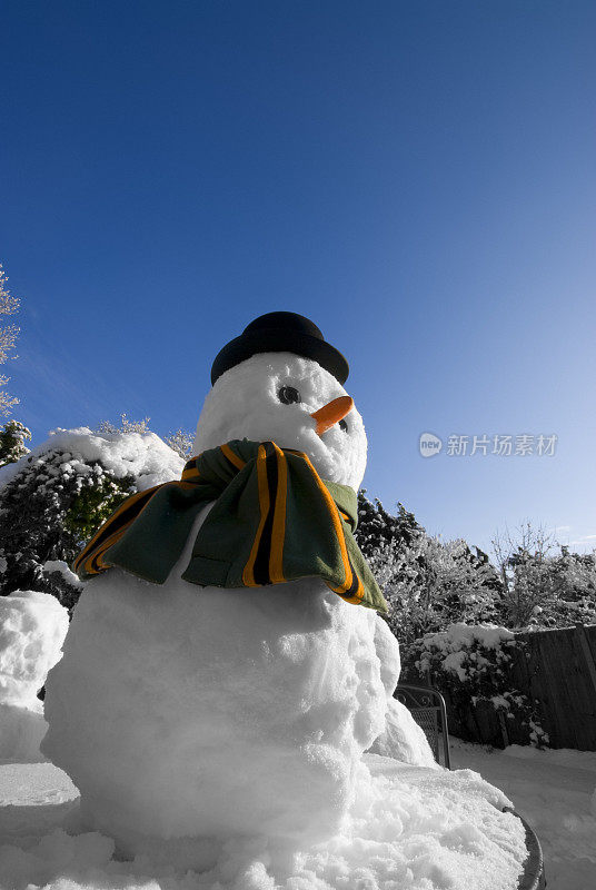 蓝天下戴着圆顶礼帽的雪人