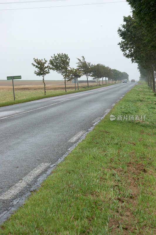 法国路在潮湿有雾的早晨
