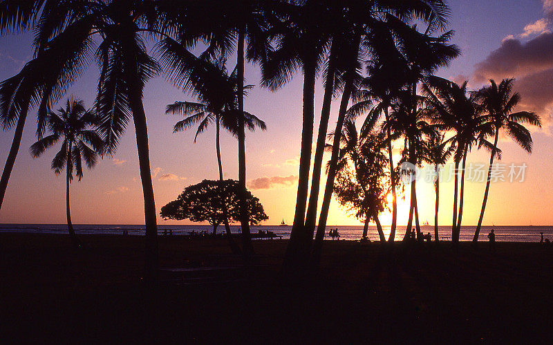 日落剪影椰子树对天空威基基海滩瓦胡岛夏威夷