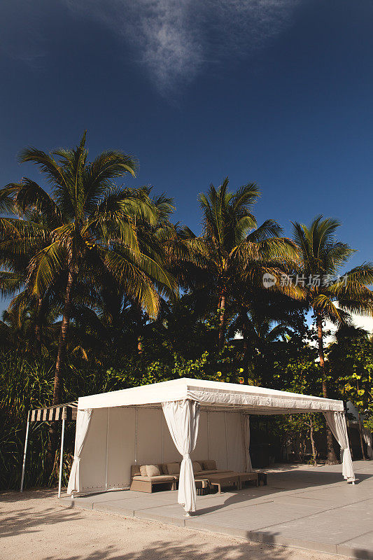 迈阿密南海滩的棕榈树小屋