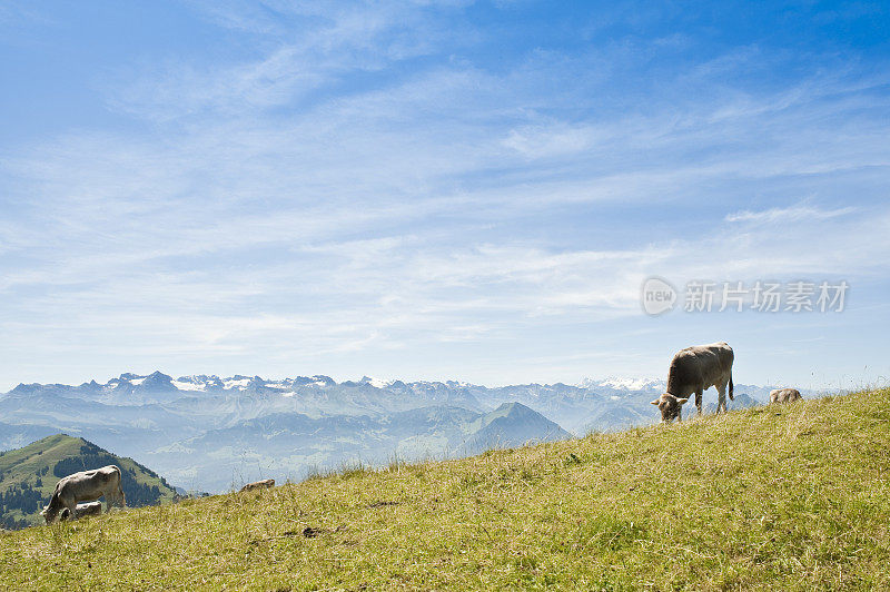 Rigi,瑞士