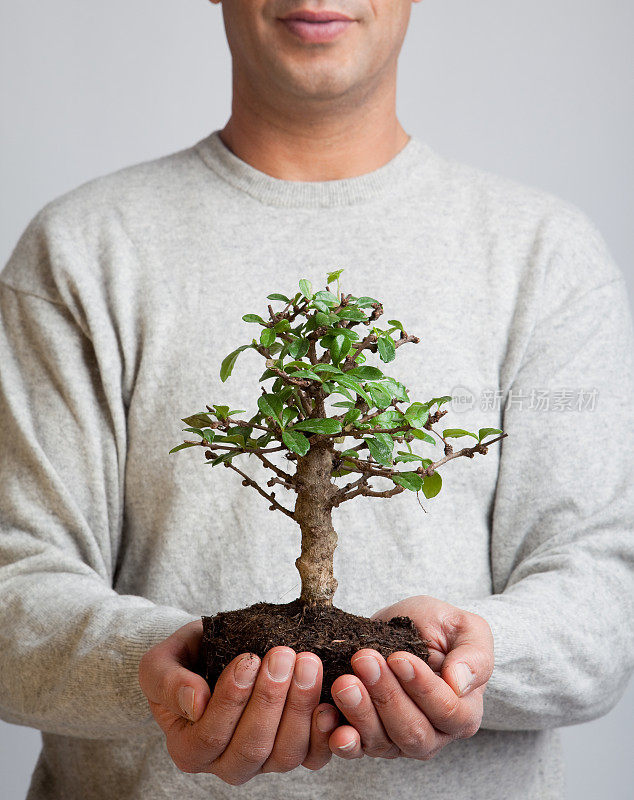 男人抱着盆景树