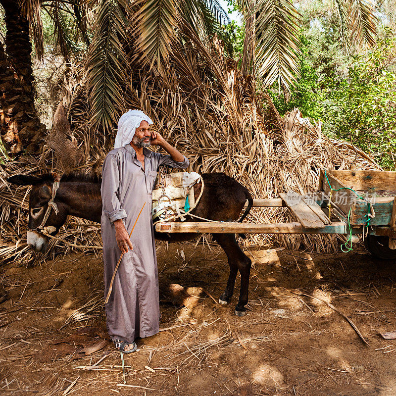 一名骑着驴车的穆斯林男子，西瓦绿洲，撒哈拉