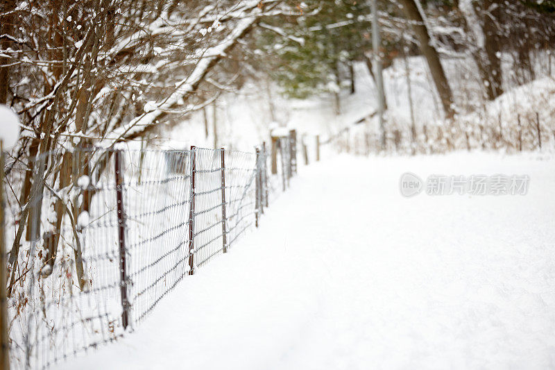 冬天的雪覆盖了篱笆景观