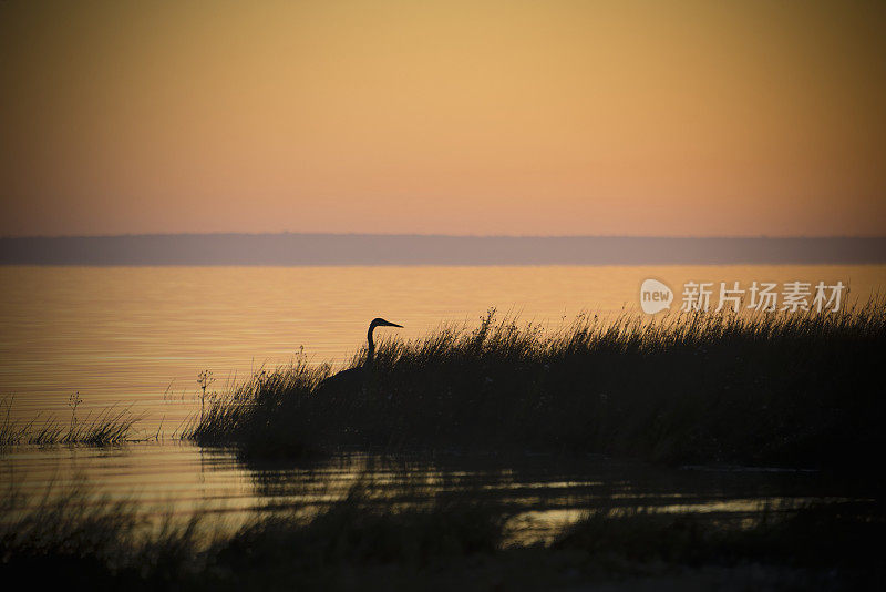 密西根州的海岸