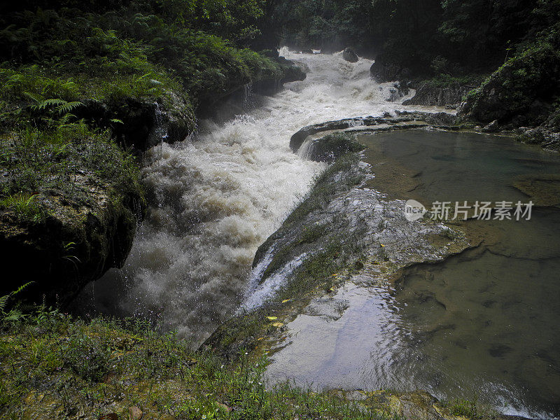 林间河流穿石景观