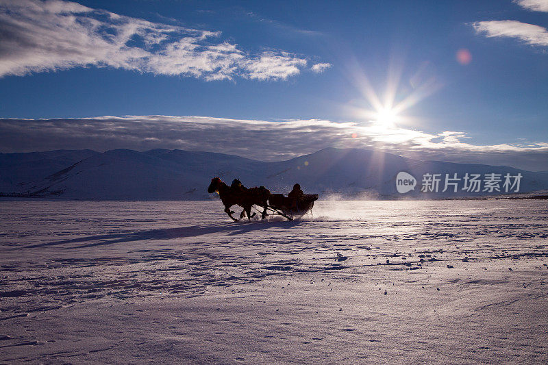 在雪地里坐雪橇