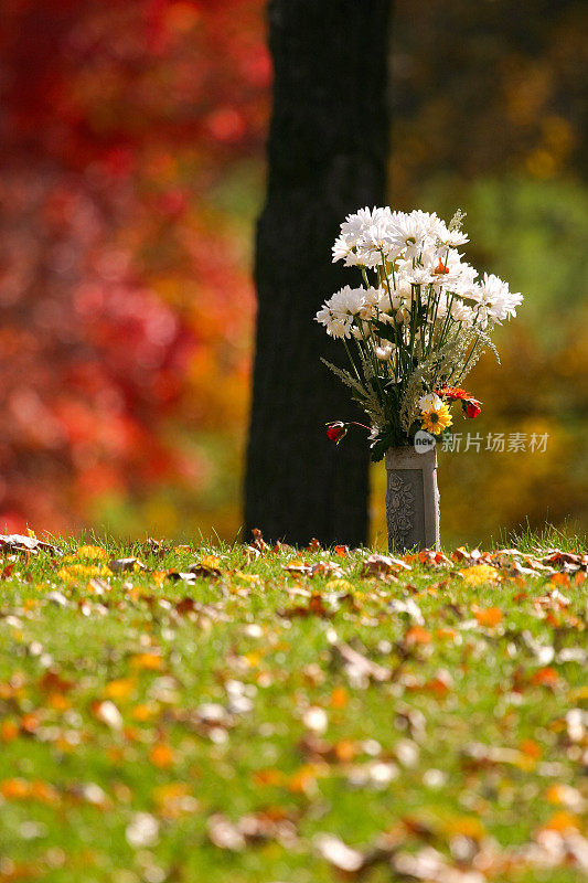 墓地里的纪念花。