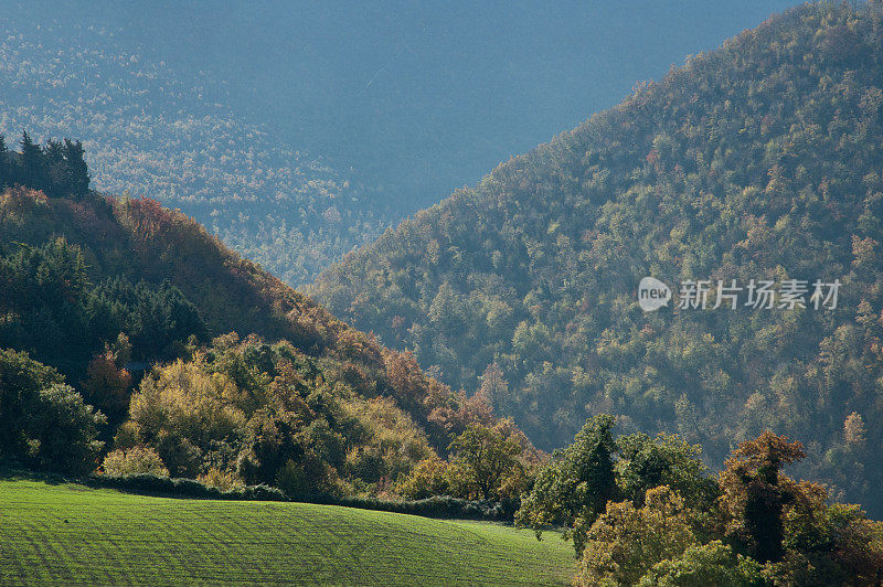 秋天的山场景